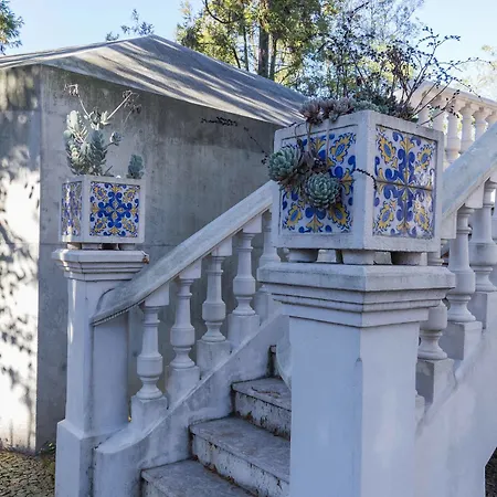 Bed & Breakfast The Blue Porto